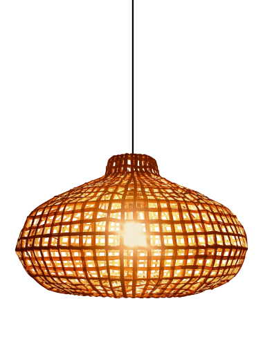 Chari Ceiling Lampshade