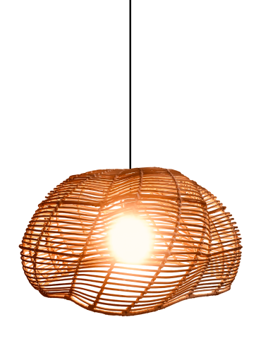 Mayla Ceiling Lampshade