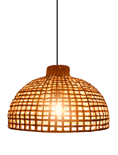 Silvia Ceiling Lampshade